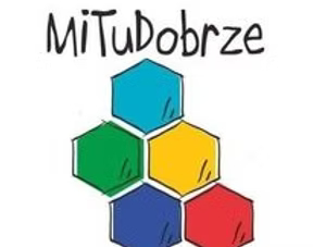 zp11 logo